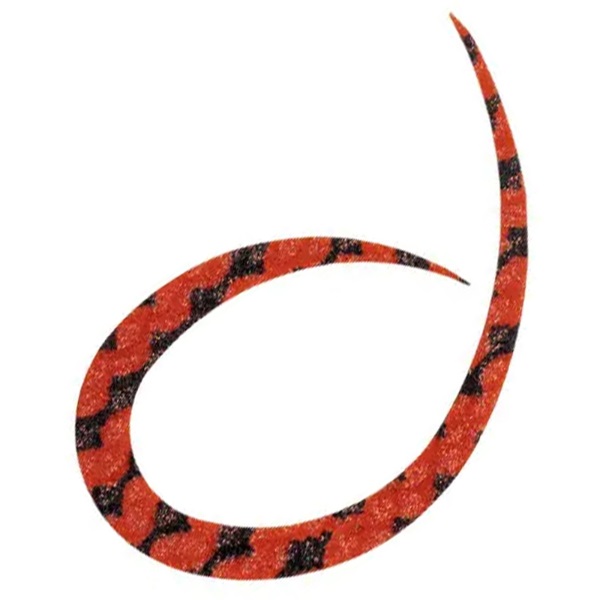 シリコンネクタイ カーリー(#06 ブラウンゼブラ)